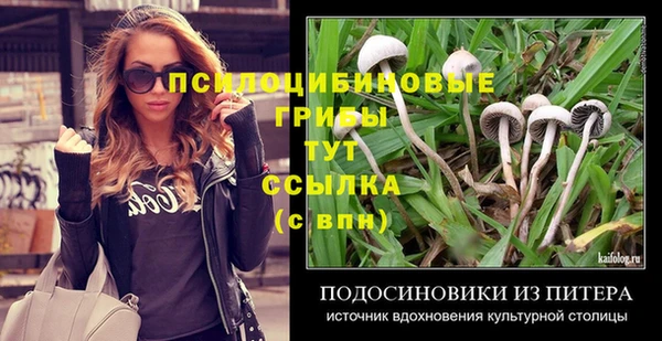 молекула духа Рославль