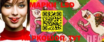 jwh Аргун