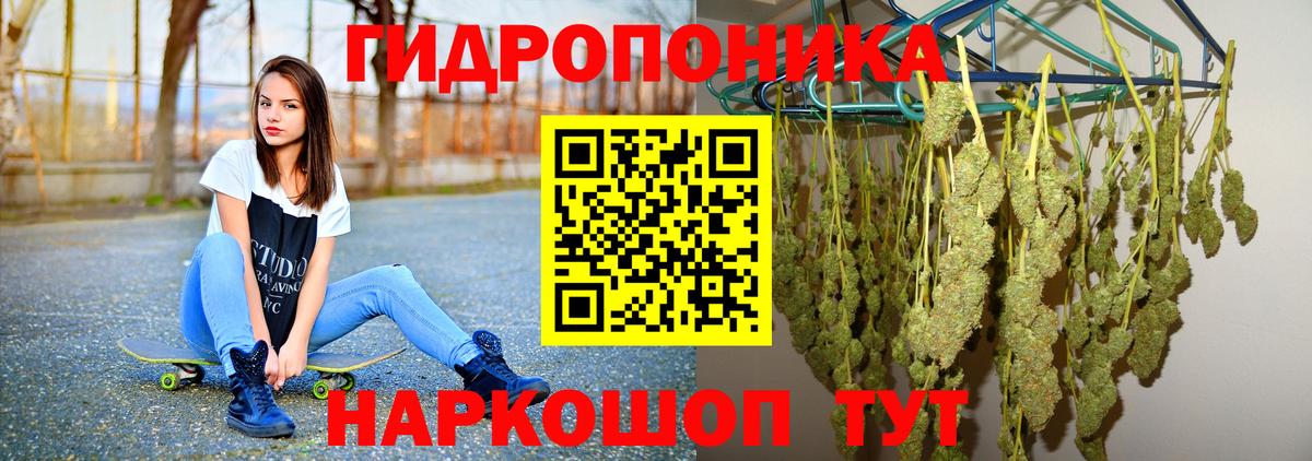 Канабис ГИДРОПОН  Шишки марихуана White Widow  Каннабис сатива  Белово 